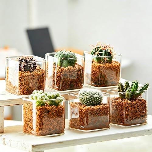 4Pcs Mini Square Flower Pots, 1.8in Clear Plastic Planter with Drainage Hole - Lightweight Indoor Desktop Nursery Decorative Pot for Succulents, Cactus, Seedlings, Home Greenery (Clear, 4.5x4.5cm)
