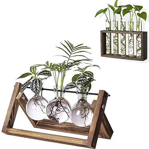 Kingbuy Retro Wooden Stand with 3 Bulb Vase + Wall Mounted 5 Glass Test Tubes Planter Plant Propagation Stations
