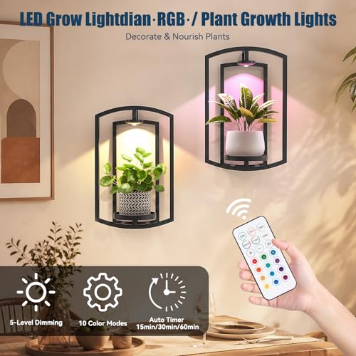 Wall Plant Holder with Remote Grow Lights, Framed Plants Holder for Indoor Plants Wall Decor, Living Room Plant Stand, Window Plant Shelves, 1 Pack
