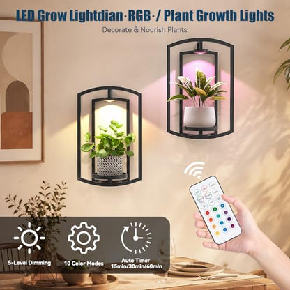 Wall Plant Holder with Remote Grow Lights, Framed Plants Holder for Indoor Plants Wall Decor, Living Room Plant Stand, Window Plant Shelves, 1 Pack