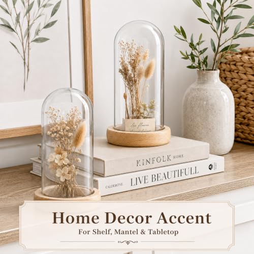 Tessco for you 3 Pcs Glass Cloche Dome Display with Solid Wood Base, L - size: 4.7 x 8 In