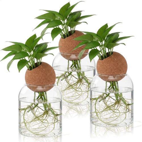 3 Pcs 3.94 Inches Glass Plant Propagation Stations with Spherical Lid Glass Jars Plant Propagation Vases Hydroponic Spherical Cork Planter for Indoor Home Office Desktop Decor(Cylinder) - size: 3.94 Inches, style: Cylinder