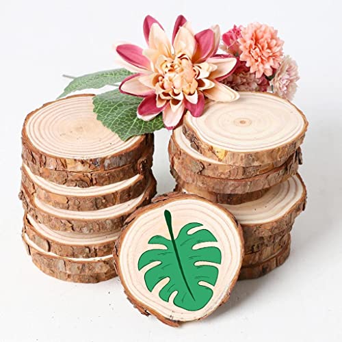 20pcs Wood Slices, BetterJonny 3.1-3.5 inch Undrilled Wooden Circles Predrilled with Hole Natural Wood Ornaments with 10 Meters Jute Rope for Arts DIY Craft - size: 20 Pcs (3.1-3.5 inch)
