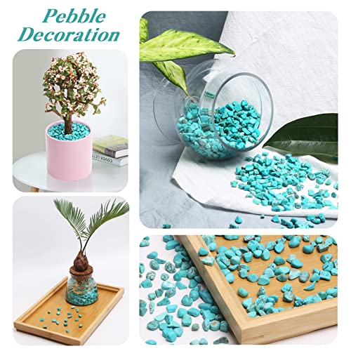 QICQDRAM Polished Gem Stones Rocks Howlite Turquoise Crystals Natural 1LB | Small Tumbled Stones Crystal Chips Bulk for Healing Crystals Fish Tank Gravel Vase Filler (405g/14.28oz) - color: Turquoise, size: 1LB