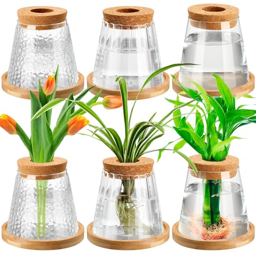 Beeveer 6 Pcs Plants Propagation Station Separated Desktop Plant Terrarium with Wood Lid and Stand, 3 Sizes Glass Planter Propagated Jars Propagation Vases for Indoor Home (Cute Style) - style: Cute Style