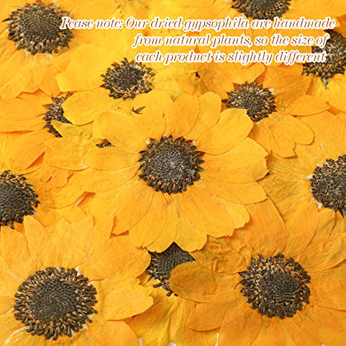 Roowest 12 Pcs Dried Pressed Flowers for Resin Natural Sunflower Real Petals for Jewelry Candle Soap Making DIY Art Craft Scrapbooking Supplies (1.97-3.15 Inches) - size: 1.97-3.15 Inches