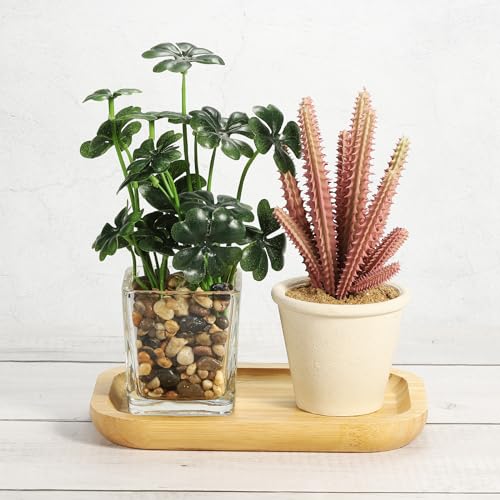 PATIKIL Wood Saucer, 8x5 Inch Rectangular Wooden Plant Drainage Tray Bonsai Plants Saucer Succulent Pot for Home Balcony Patio - size: 8x5 Inch