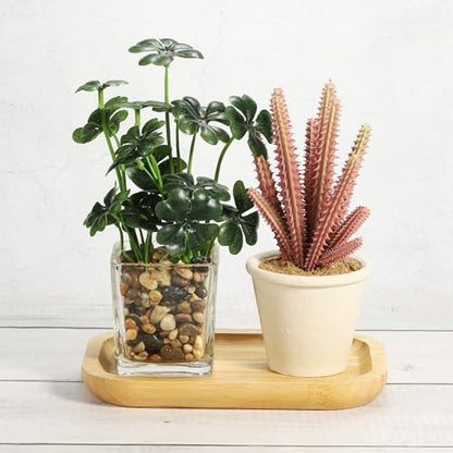 PATIKIL Wood Saucer, 8x5 Inch Rectangular Wooden Plant Drainage Tray Bonsai Plants Saucer Succulent Pot for Home Balcony Patio - size: 8x5 Inch