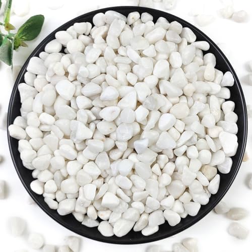 YISZM 2LB Succulent and Cactus Gravel Pebbles, 3/8 Inch White Stones - color: White, size: 2 Pounds
