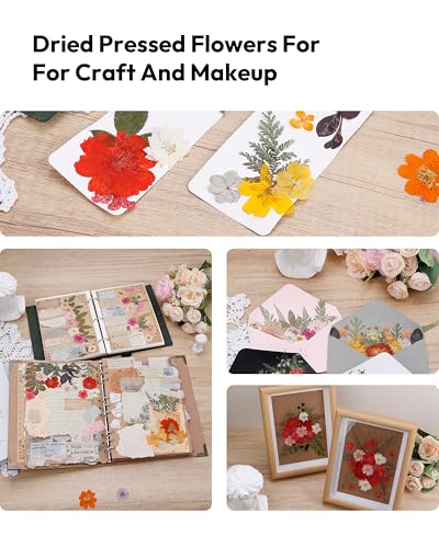 Dried Flowers, Resiners 100Pcs Pressed Flowers for Craft Baby Pink Real Natural Dried Flowers Dry Leaves Kit for DIY Making Crafts Resin Soap Candle Scrapbook Supplies Card Making Jewelry - color: Light Pink 100pcs