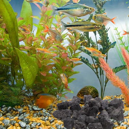 VILLCASE Natural Volcanic Stone Decoration 200g Pack 2-4cm Porous Breathable Aquarium Rocks Fish Tank Supplies for Aquatic Pets and Potted Plant Craft