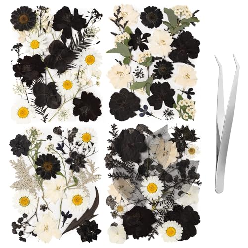 78 Pcs Black and White Dried Pressed Flowers with Tweezer, Halloween Themed Real Dried Flowers Leaves for DIY Crafts Resin Molds, Dried Flowers for Autumn Halloween Decorations - size: Black 78pcs