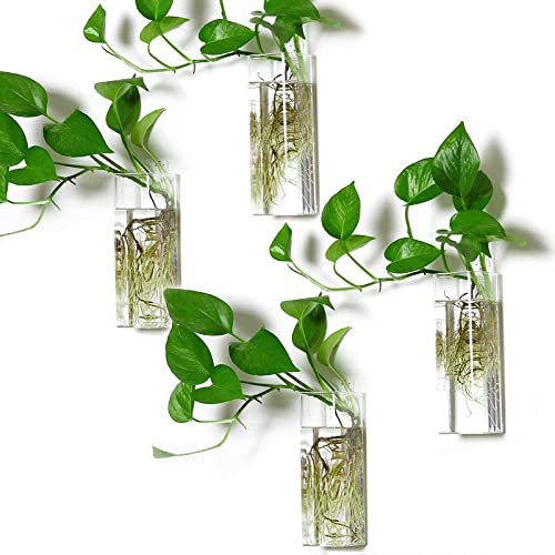 Kingbuy Wall Hanging Glass Planter Flower Vase Plant Propagation Station for Hydroponic Plants Home Office Garden Decor - 2 Egg Shape Plant Terrarium and 4 Square Shape Vase