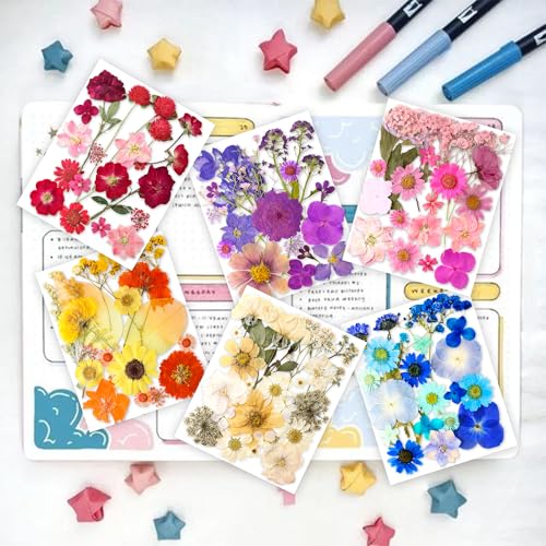 221PCS Real Nature Dried Pressed Flowers for Resin Craft, Dry Pressing Floral with Butterfly Transparent Stickers Set for DIY Jewelry Making Nail Card Scrapbook Art Eternity Summer - color: Eternity Summer