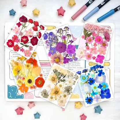 221PCS Real Nature Dried Pressed Flowers for Resin Craft, Dry Pressing Floral with Butterfly Transparent Stickers Set for DIY Jewelry Making Nail Card Scrapbook Art Eternity Summer - color: Eternity Summer