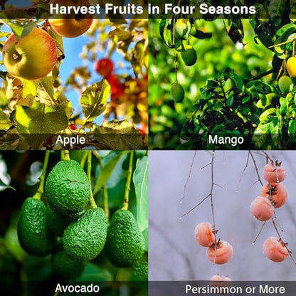DonSail Fruit Picker Pole Tool with Basket Telescoping, Adjustable Apple Picker Pole 35-170 inch Long Handle, Mango Orange Avocado Fig Acorn Lemon Pear Pomelo Chery Picker for Tree - size: 35-170"