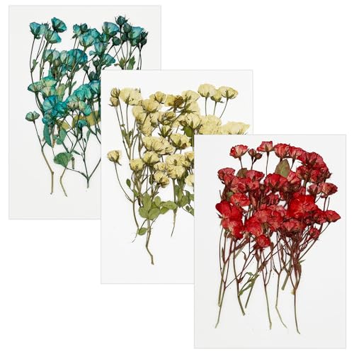 Cayway Natural Dried Pressed Flowers, Natural Dry Flowers Leaves for Art Crafts Resin, Scrapbooking Candles Soap Making DIY, 30 PCS Multi-stemmed Rose - color: Red-white-blue