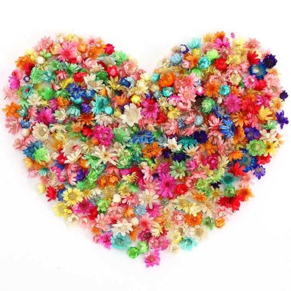 Resin Dried Flowers, DyAi 400Pcs Mini Dried Natural Pressed Flowers, Brazilian Daisies for Crafts Resin Filler, Soap Candles Making, Bookmarks, DIY Epoxy Earrings Jewelry Crafts