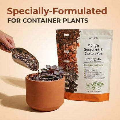 Molly's Succulent Potting Mix, Cactus and Bonsai Gritty Blend, 5 Dry Quarts - size: 5 Dry Quarts, style: Succulents & Cacti