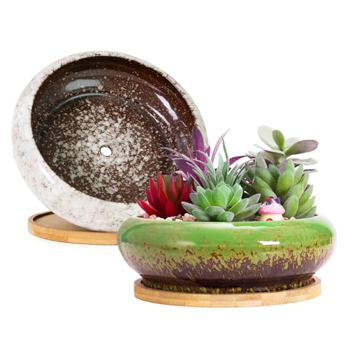 ARTKETTY Succulent Pots with Drainage, 2 Pack Large Succulent Planters - color: Green/White