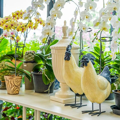 Mwellewm 3 Sets Plant Stakes 12/25/36 Inch Adjustable Plant Support Stakes Tall for Indoor Outdoor Plant Holder Stick Steel Garden Stem Pole Amaryllis Stakes with 15 Clip for Tomato Orchid Lily Flower - size: 3 pcs set