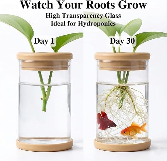 Desktop Hydroponic Propagation Station - Glass Vases for Plant Cuttings, Indoor Water Plant Jars, Unique Gardening Gift for Women Mom Plant Lovers