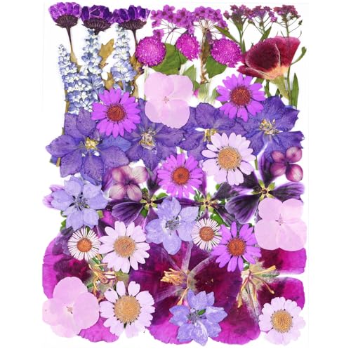 50Pcs Large Purple Dried Pressed Flowers for Crafts,Xinxinran Dry Flowers Kit for Resin Molds,Epoxy Resin Accessories,Bookmark,Nails, Jewelry Molds,Candle Making Supplies,Soap,Frame,Cakes - color: Large Purple 50pcs