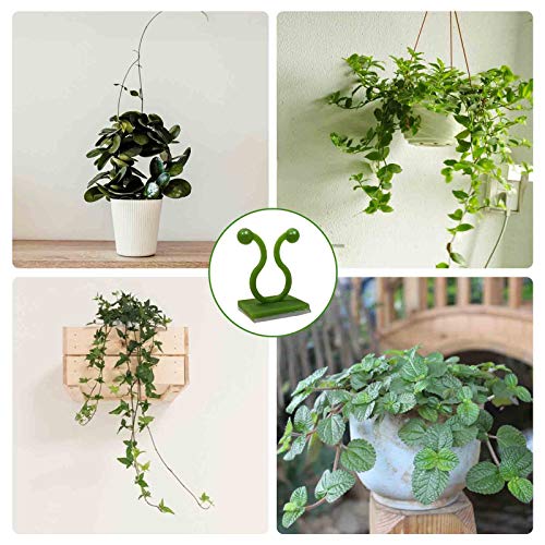 Plant Clips-Plant Climbing Wall Fixture Clips 110PCS, Invisible Clips For Climbing Plants，Self-Adhesive plant wall clips For Plant Support, Sticky Plant Fixture Clips Plant Holder For Pothos - size: Green clip