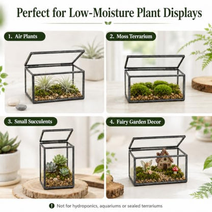Mini Glass Terrarium Set of 2 with Lid, Tiny Rectangle Glass Succulent Terrarium Containers for Air Plants, Moss & Fairy Garden, Black Framed Tabletop Plant Holder, 4 x 2.8 x 2.4 & 2.8 x 2.4 x 4 in - color: Black