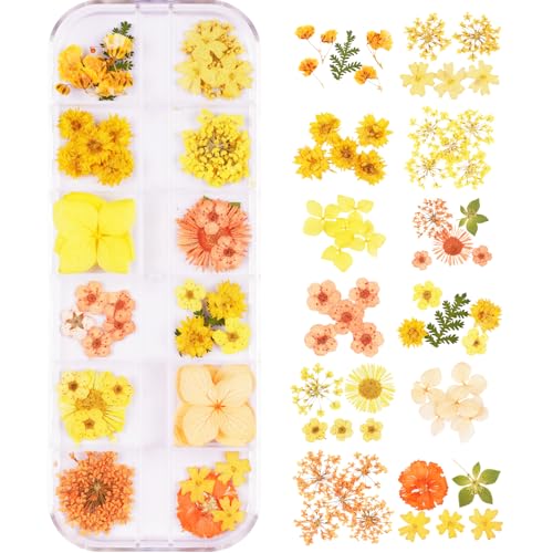 60Pcs Small Dried Pressed Flowers for Crafts,Mini Flower for Nail Art - color: Orange Yellow 60pcs