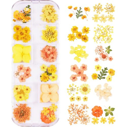 60Pcs Small Dried Pressed Flowers for Crafts,Mini Flower for Nail Art - color: Orange Yellow 60pcs