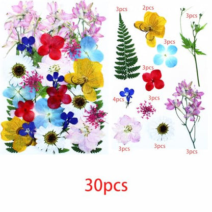 Cayway 4 Pack Pressed Flowers Natural Dried Flowers Colorful Resin Flowers Real Pressed Flowers for Resin Scrapbook DIY Art Crafts, Epoxy Resin Jewelry, Card Making Supplies, Style H - color: 4 Pack Pressed Flowers C