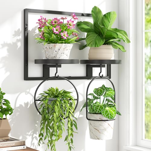 iDavosic.ly Wall Plant Picture Frame Holder with 2 Trays for Indoor, Black - color: Black, 2-Tray, size: Rectangular