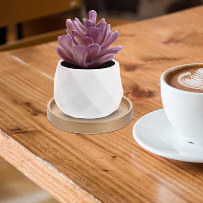 Vaguelly House Plants Indoors Live 3pcs Ceramic Plant Saucers Gold, 7 inch Thicken Planter Water Drip Tray, Flower Plant Pot Coasters, Bird Bath Bird Feeder Plate for Indoor Outdoor House Plants - size: 7inch