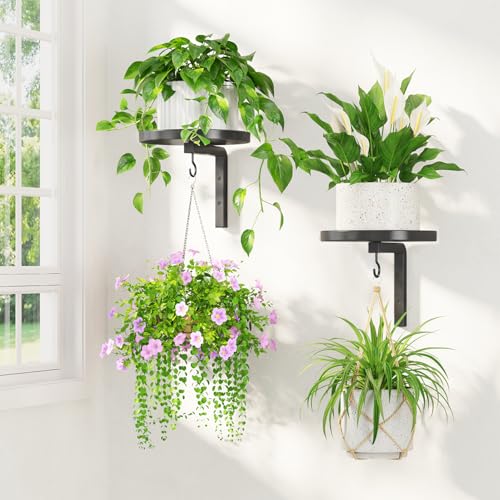 LASZOLA Plant Hanger Holder Window Shelf Wall Mounted Indoor, 2 Pcs Black | Modern Metal Floating Stand, Hanging Flower Display Rack, with Hooks for Outdoor Home Kitchen Decor - color: Black, size: 2