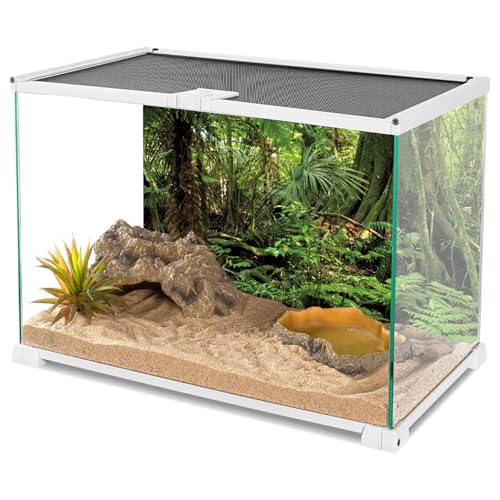 30x18 in Terrarium Backdrop Green Forest Tree Reptile Habitat Background | AWERT Stone Huge Tree Tropical Rainforest Aquarium Background Durable Polyester - size: 30x18in/75x45cm