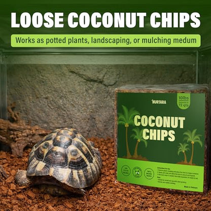 Coconut Chips Substrate, 10 lb Reptile Bedding Expands to 72 qt | Coconut husk chips, expands to 72 qt, terrarium bedding for reptiles, orchid bark, tropical plant mulch, made in Vietnam - size: 10 Lbs (Pack of 1)