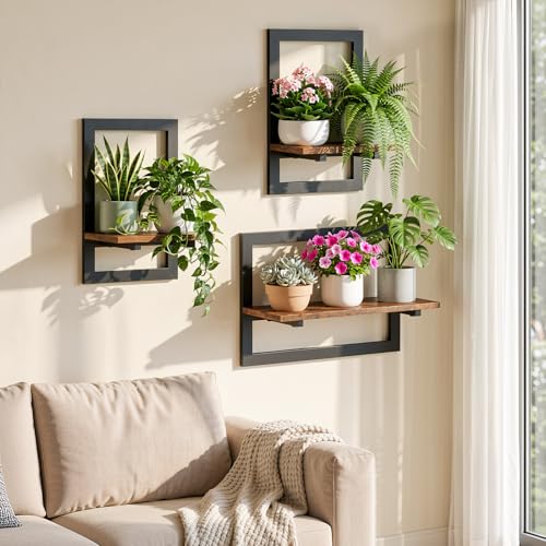 Housolution 3 Pack Wall Plant Holder, Picture Frame Design Plant Shelf - size: 3 Pack
