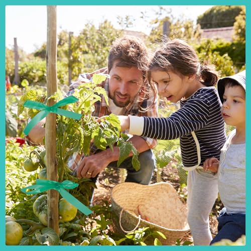 Prudiut 1500Ft Plant Tape, 1/2" Stretch Garden Tie Tape Roll, Plant Ribbon(10 Rolls) - size: 0.5in/1500ft