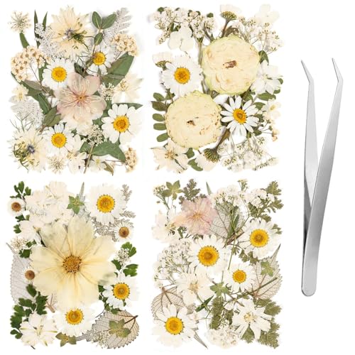 100pcs White and Light Yellow Dried Pressed Flowers Bulk, Natural Fall Pressed Dried Flowers with Tweezer for DIY Crafts Resin Mold Candles Cake Bridal Scrapbooking Supplies - size: White Flower 100pcs