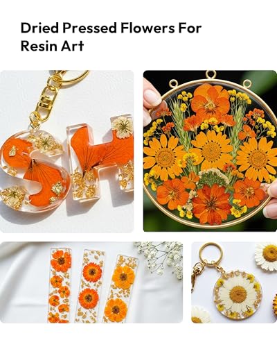 Dried Flowers, Resiners 100Pcs Pressed Flowers for Craft Real Natural Dried Flowers Dry Leaves Kit for DIY Making Crafts Resin Soap Candle Scrapbook Supplies Card Making Jewelry - color: Fall Color 100pcs