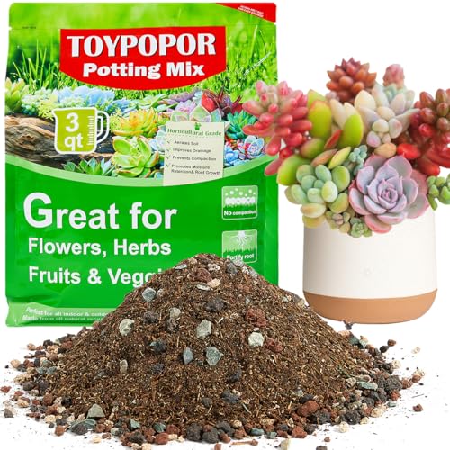 TOYPOPOR Succulent Soil, Cactus Potting Mix 3.75 Pounds/3QTS, High Drainage, Pre-Mixed Ready to Use for All Succulent Varieties, Indoor Plants, Bonsai, Terrarium, Houseplant, 30% Particles 70% Soil - color: 30% particles + 70% soil, size: 3 qt