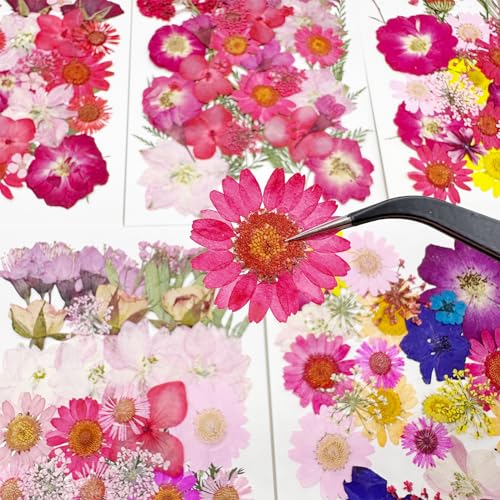 Cayway 170 PCS Dried Pressed Flower, Pressed Flowers and Leaves for Resin, Real Nature Pressing Floral Leaves for DIY Craft, Jewelry Making, Candle Scrapbooking Supplies, Red - color: 170pcs-red