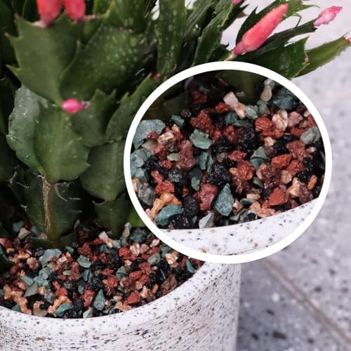 10LB Mix Lava Rocks for Plant Gravel Pebbles for Bonsai Succulent Potting Soil, Top Dressing and Terrarium Plants, - size: 10LB