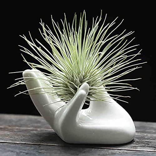 Dahey Mini Air Plant Holder, 1 Pack Hand Shape Ceramic White Desktop Stand