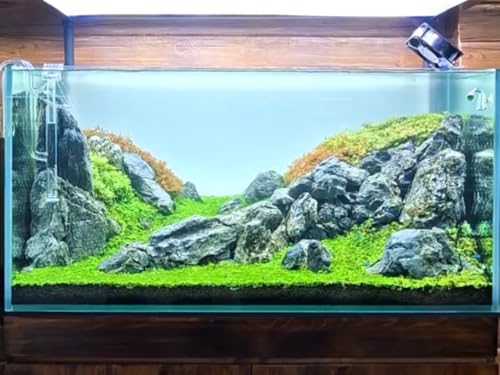 Natural Rocks Seiryu Stones Aquariums Stones for Aquascaping, Aquariums, Terrariums, Vivariums Decorative Stone,Reptile Enclosures,Paludariums,and Gardens-10lb（2 to 7 inch） - size: 10Lb (2-7 inch)