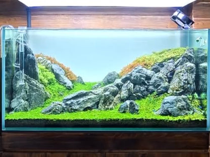 Natural Rocks Seiryu Stones Aquariums Stones for Aquascaping, Aquariums, Terrariums, Vivariums Decorative Stone,Reptile Enclosures,Paludariums,and Gardens-10lb（2 to 7 inch） - size: 10Lb (2-7 inch)