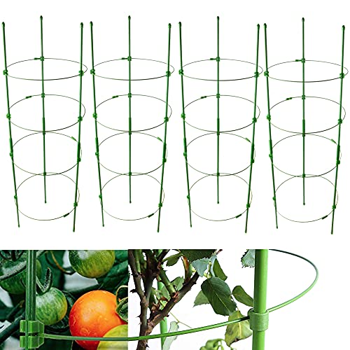 4 Pack Adjustable Tomato Cages, 36 Inch Plant Support Garden Trellis for Tomatoes, Cucumbers, Vegetables, Flowers, Roses & Climbing Vines – 4 Adjustable Rings for Sturdy Growth