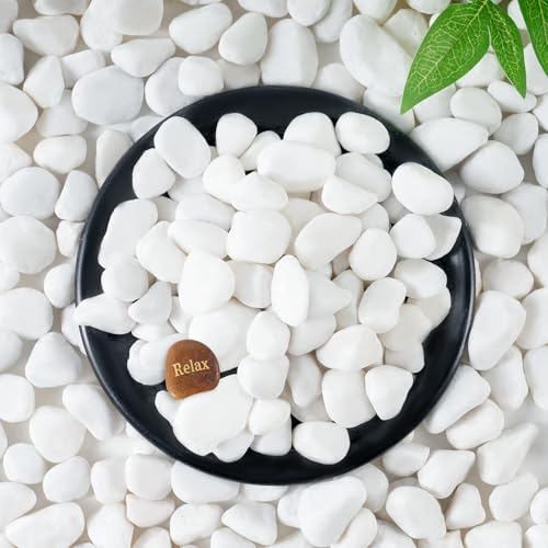 SIDONG 10 LB White River Rocks, 0.4-1.2 Inches Matte Pebbles for Indoor Plants, Aquarium Rocks Used in Fish Tank, Decorative Stones for Plants, Vases, Home Décor, Crafting, Garden Landscaping - color: White, size: 10 lbs,0.4-1.2inch