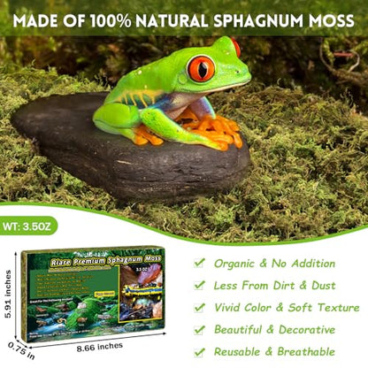 Riare 3.5oz Natural Sphagnum Moss for Reptiles, Terrarium Substrate Bedding | High Expansion, Moisture Retention, Helps Shedding, Long Fibered Dried Moss for Leopard Gecko, Snake, Frog, Turtle - color: 3.5 OZ